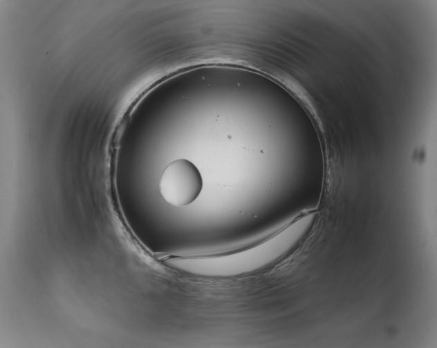 X0000111231096200907021353