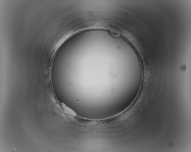 X0000111231097200907021353