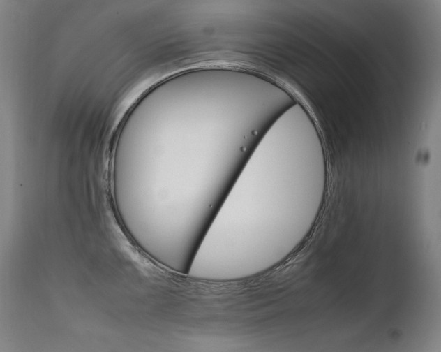 X0000111231099200907021353