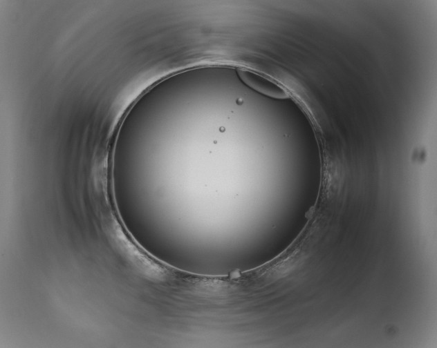 X0000111231100200907021353