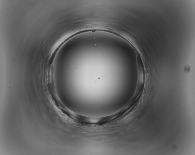 X0000111231101200907021353