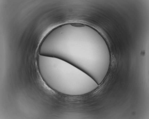 X0000111231102200907021353