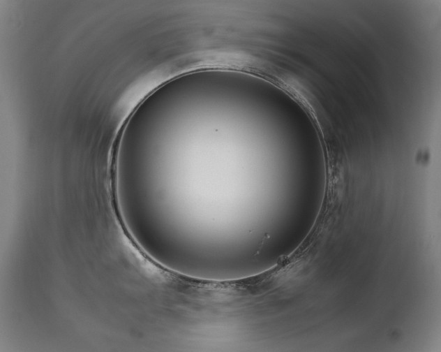 X0000111231103200907021353