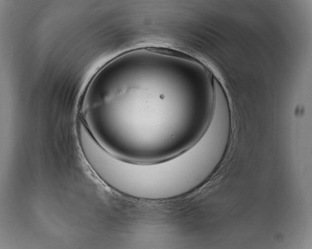X0000111231104200907021353