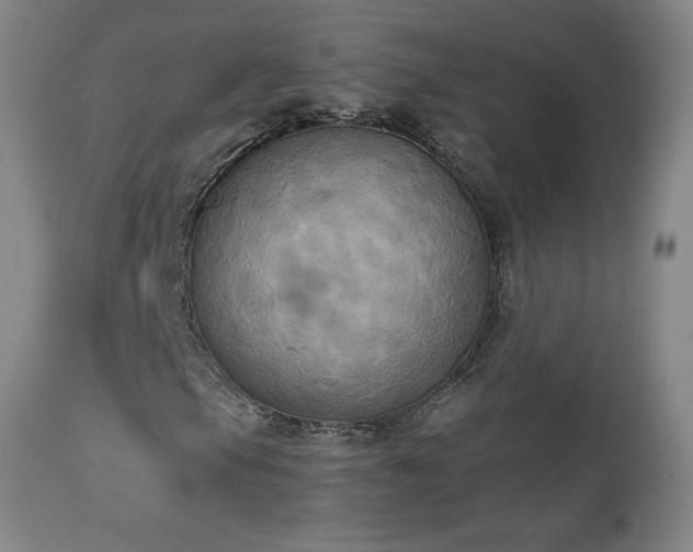 X0000111231105200907021352