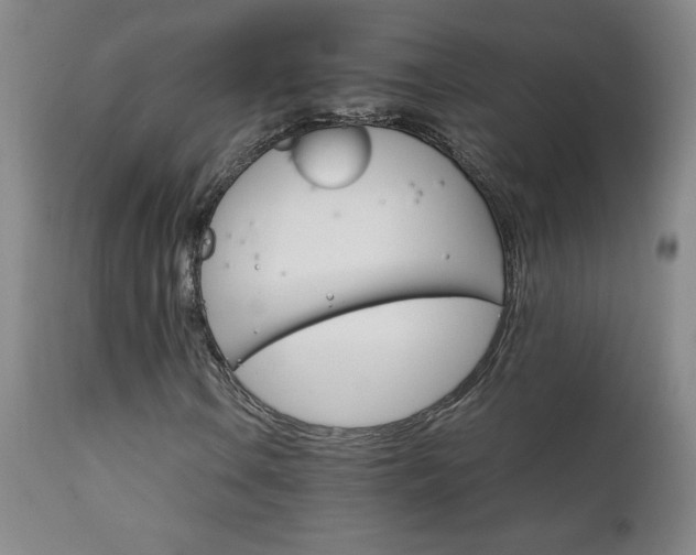 X0000111231106200907021352