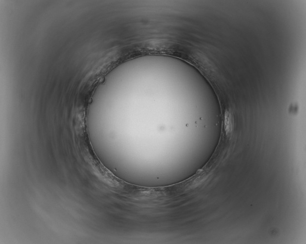 X0000111231107200907021352