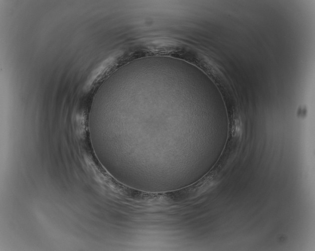 X0000111231108200907021352