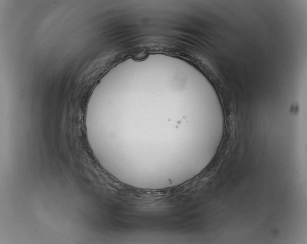 X0000111231111200907021352