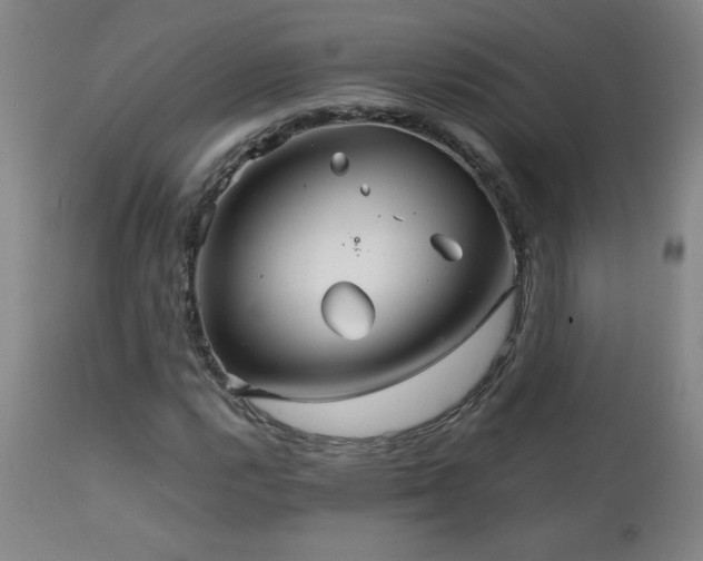 X0000111231112200907021352