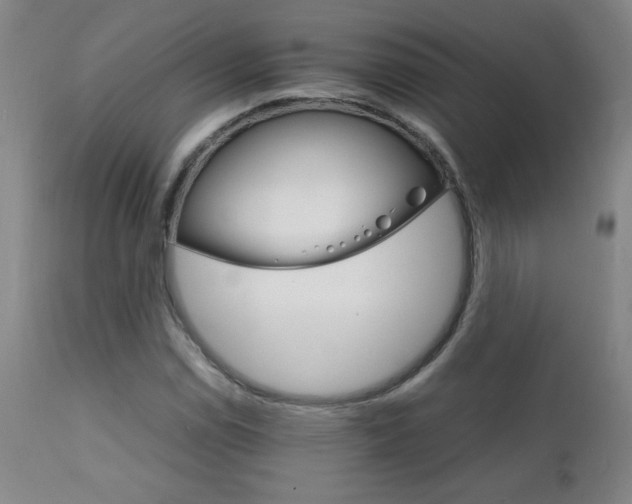 X0000111231114200907021352