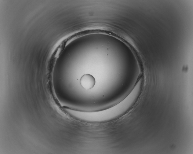 X0000111231116200907021352