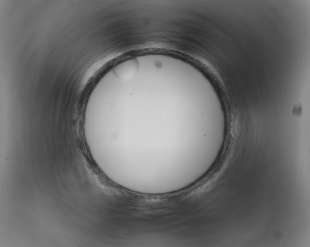 X0000111231117200907021352
