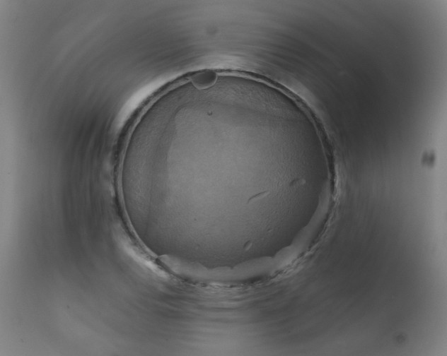 X0000111231120200907021352