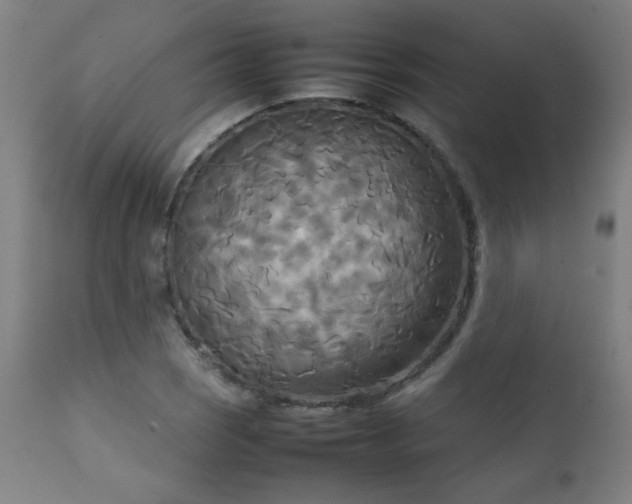 X0000111231121200907021352