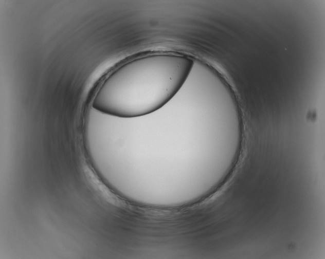 X0000111231122200907021352