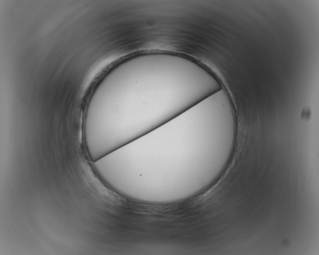 X0000111231123200907021352