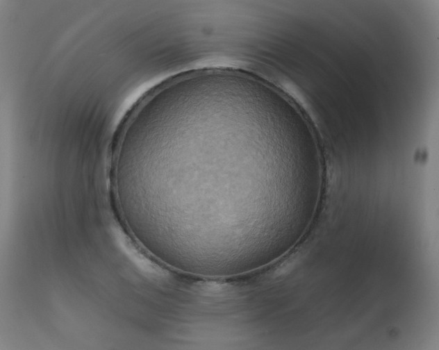X0000111231124200907021352