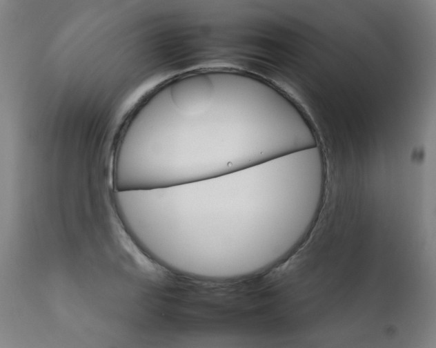 X0000111231127200907021352