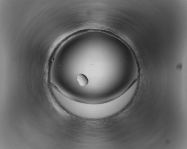 X0000111231128200907021352