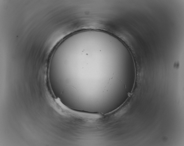 X0000111231130200907021352