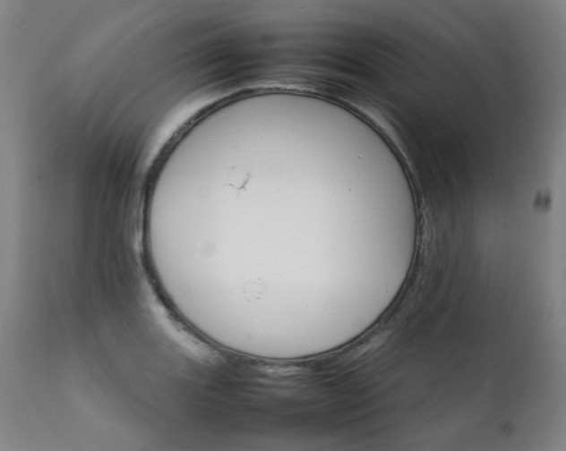 X0000111231131200907021352