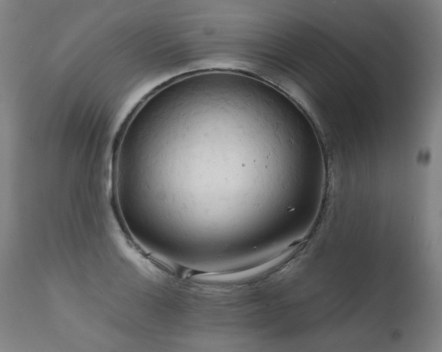 X0000111231132200907021352