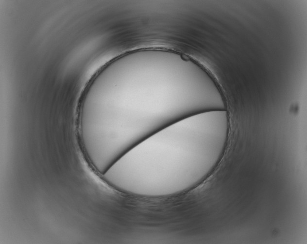 X0000111231135200907021352
