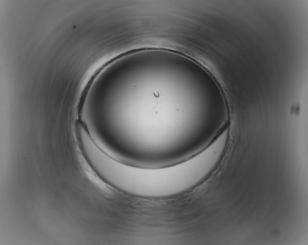 X0000111231136200907021352
