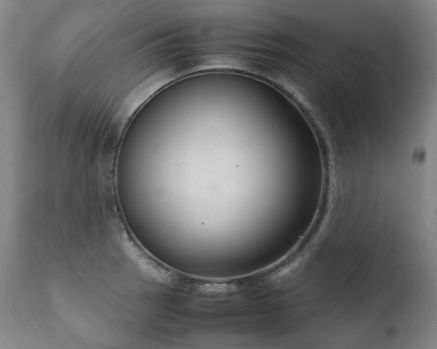 X0000111231137200907021352