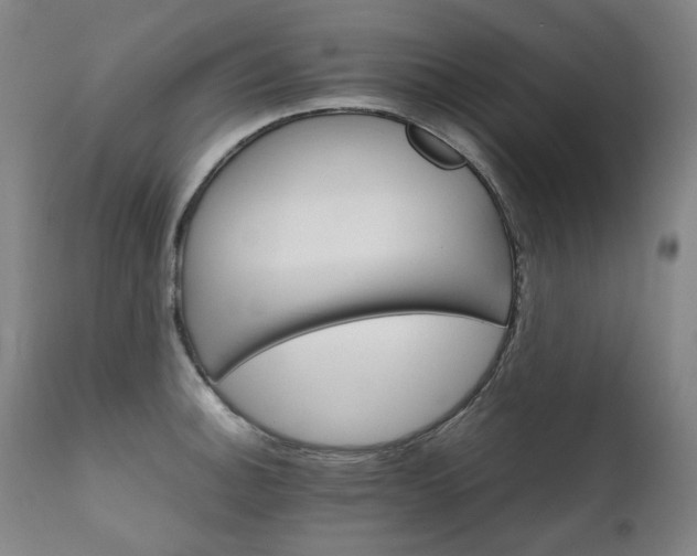 X0000111231140200907021352