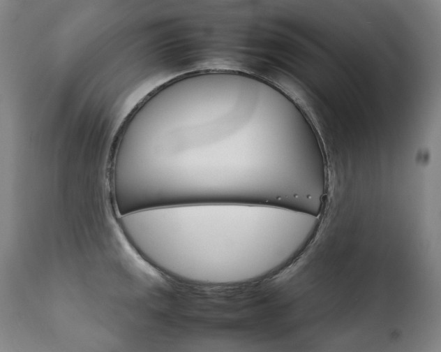 X0000111231141200907021352