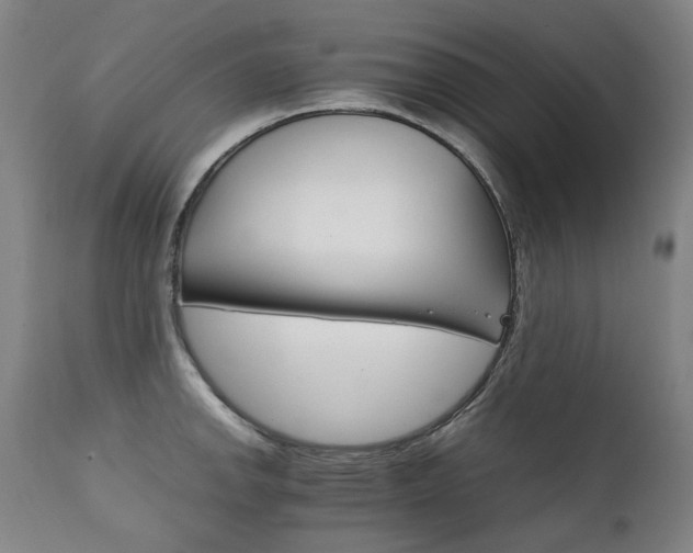 X0000111231142200907021352