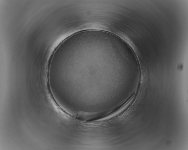 X0000111231144200907021352