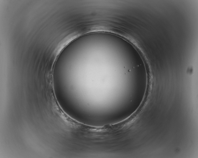 X0000111231145200907021352