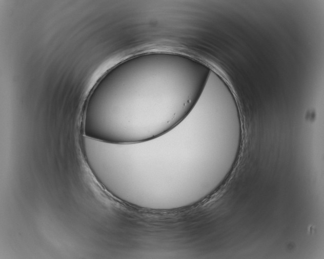 X0000111231146200907021353