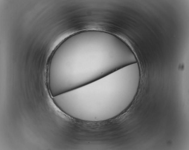 X0000111231147200907021353