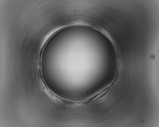 X0000111231148200907021353