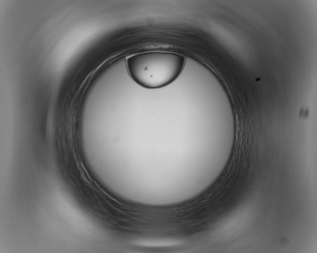 X0000111231151200907021353
