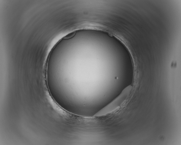 X0000111231152200907021353
