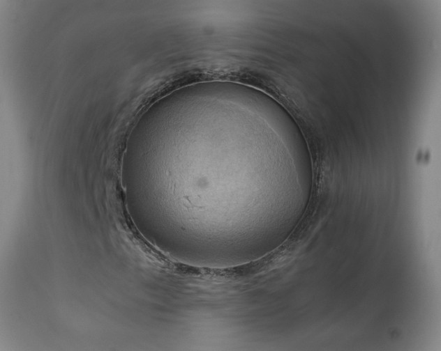 X0000111231153200907021352