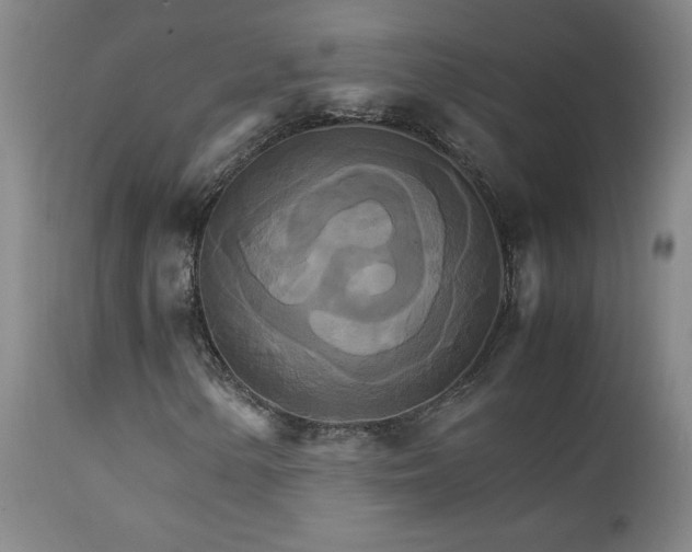 X0000111231154200907021352