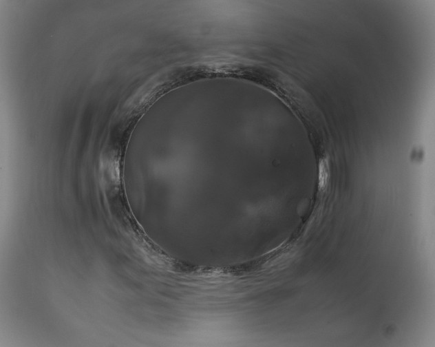 X0000111231155200907021352