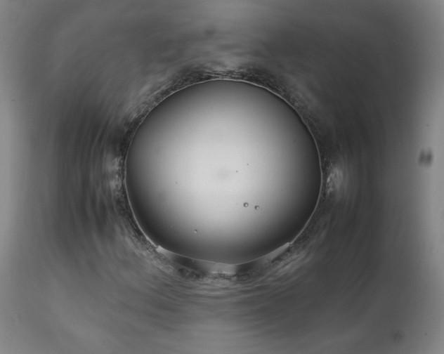 X0000111231156200907021352