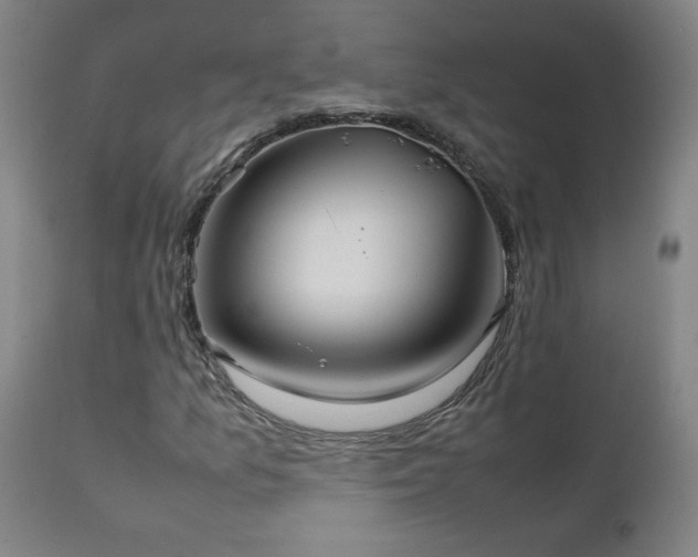X0000111231157200907021352