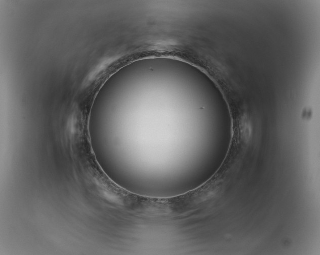 X0000111231158200907021352