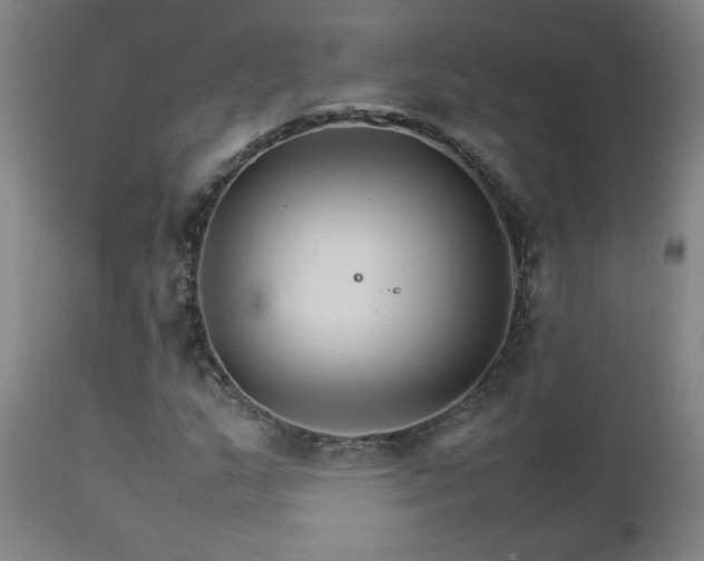 X0000111231159200907021352