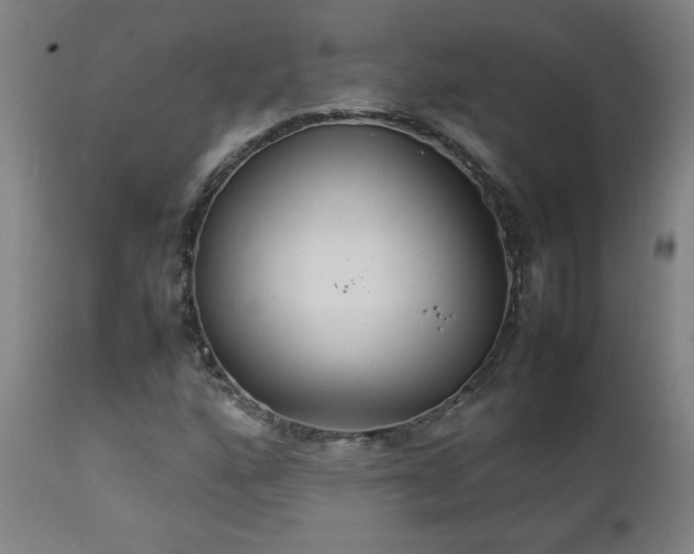 X0000111231160200907021352