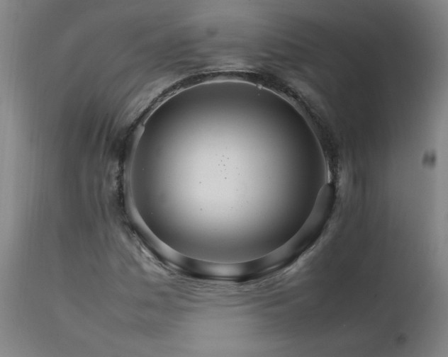 X0000111231161200907021352