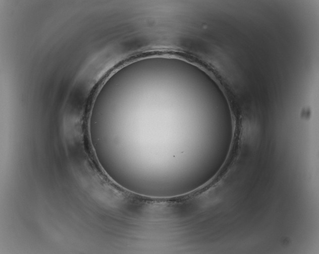 X0000111231162200907021352